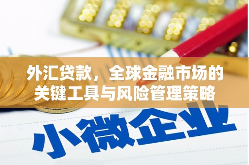 夷陵外汇贷款，全球金融市场的关键工具与风险管理策略