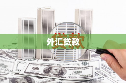 夷陵外汇贷款