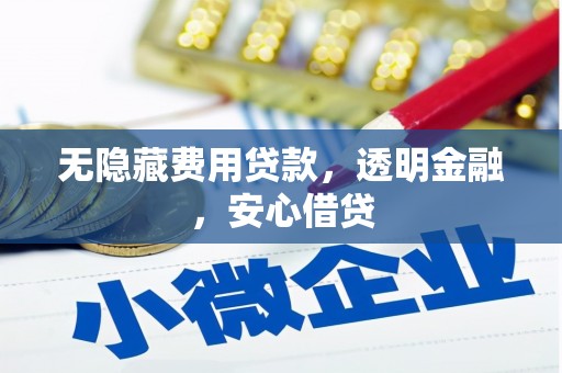 夷陵无隐藏费用贷款，透明金融，安心借贷