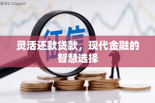 夷陵灵活还款贷款，现代金融的智慧选择