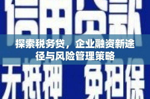 夷陵探索税务贷，企业融资新途径与风险管理策略