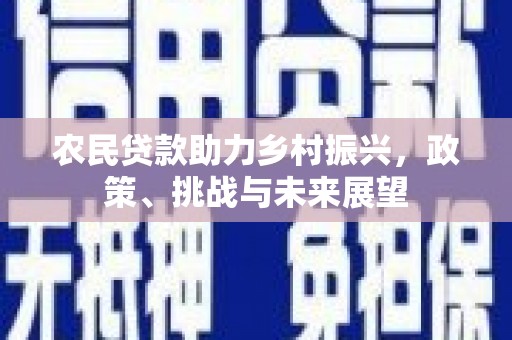 夷陵农民贷款助力乡村振兴，政策、挑战与未来展望