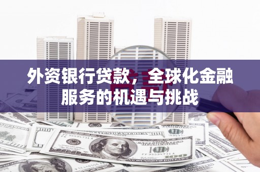 夷陵外资银行贷款，全球化金融服务的机遇与挑战