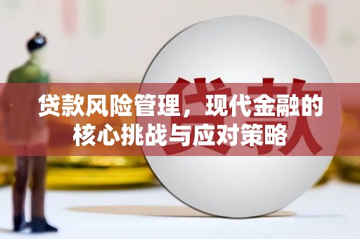 夷陵贷款风险管理，现代金融的核心挑战与应对策略