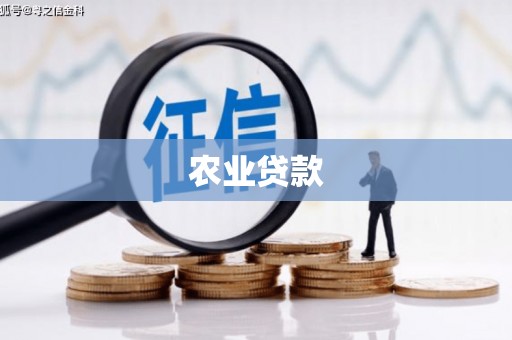 夷陵农业贷款