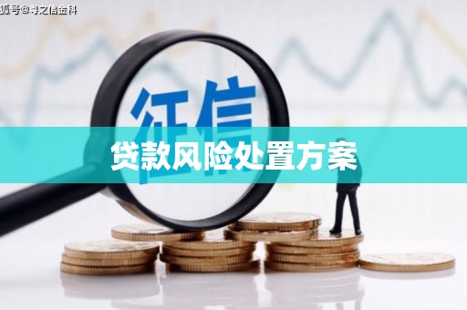 夷陵贷款风险处置方案