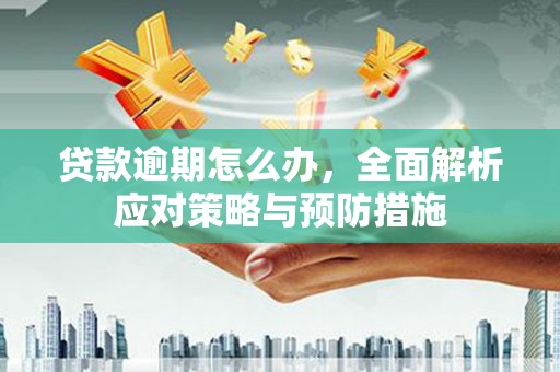夷陵贷款逾期怎么办，全面解析应对策略与预防措施