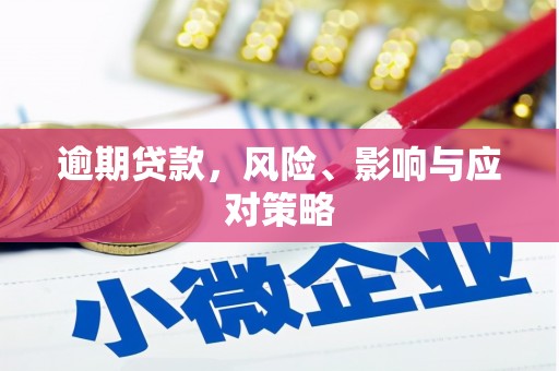 夷陵逾期贷款，风险、影响与应对策略