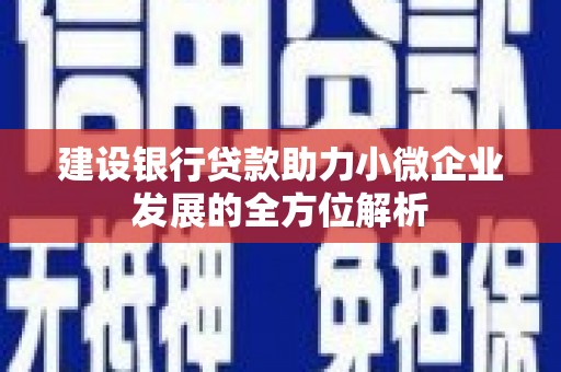 夷陵建设银行贷款助力小微企业发展的全方位解析