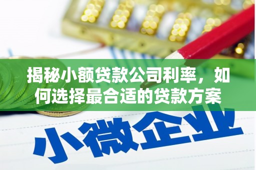 夷陵揭秘小额贷款公司利率，如何选择最合适的贷款方案
