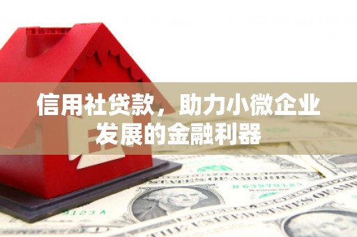 夷陵信用社贷款，助力小微企业发展的金融利器