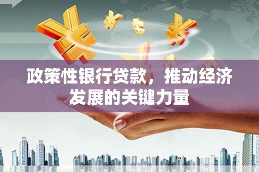 夷陵政策性银行贷款，推动经济发展的关键力量