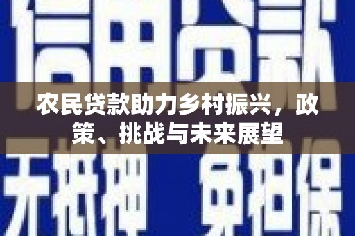 夷陵农民贷款助力乡村振兴，政策、挑战与未来展望