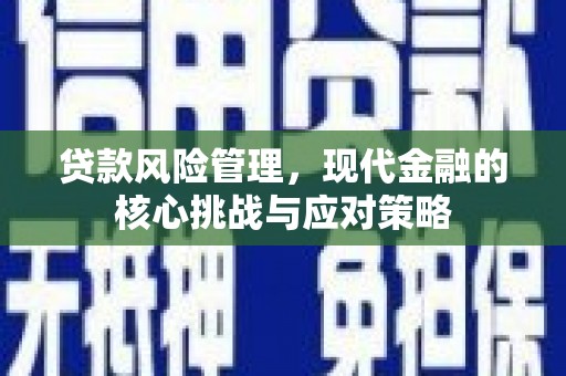 夷陵贷款风险管理，现代金融的核心挑战与应对策略