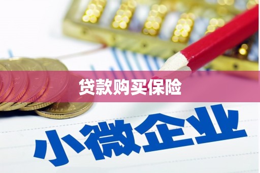 夷陵贷款购买保险