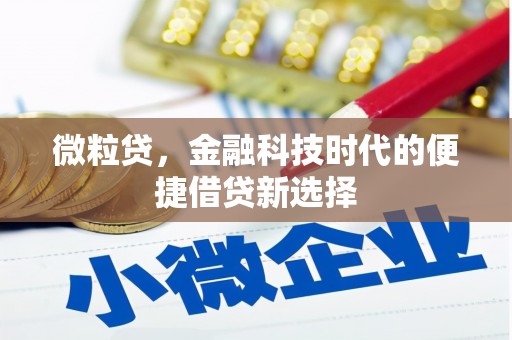 夷陵微粒贷，金融科技时代的便捷借贷新选择