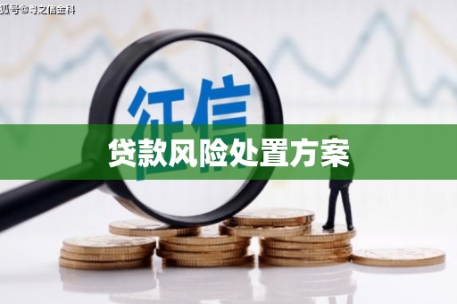 夷陵贷款风险处置方案