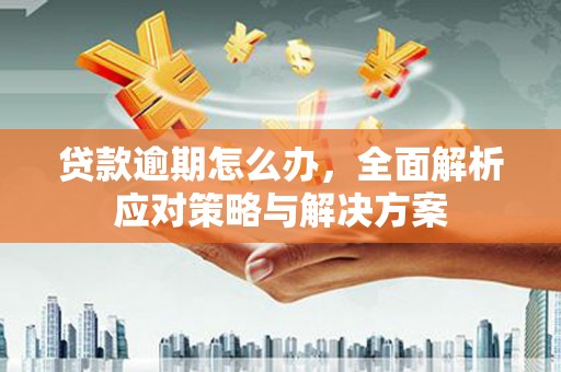 夷陵贷款逾期怎么办，全面解析应对策略与解决方案
