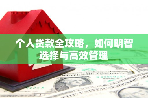 夷陵个人贷款全攻略，如何明智选择与高效管理