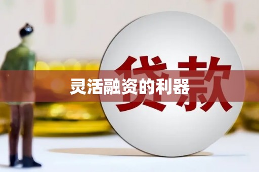 夷陵灵活融资的利器