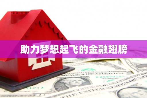 夷陵助力梦想起飞的金融翅膀