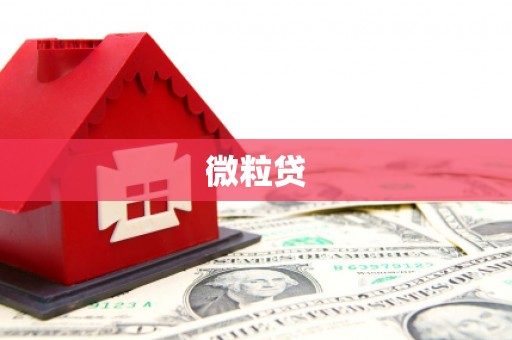 夷陵微粒贷