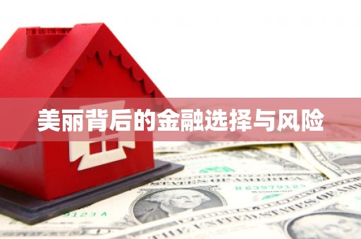 夷陵美丽背后的金融选择与风险