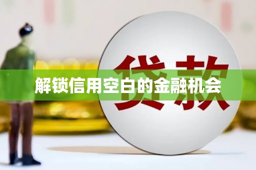 夷陵解锁信用空白的金融机会