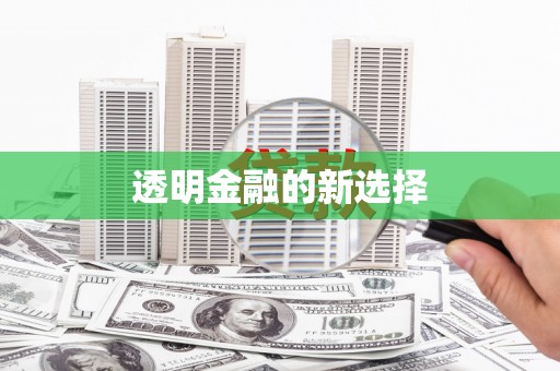 夷陵透明金融的新选择